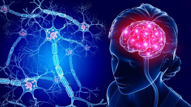 Artist impression of the working of the human brain. (Source: https://www.snexplores.org/article/explainer-what-is-a-neuron)